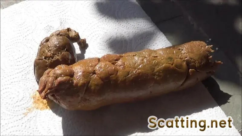 Tegan - Perfect Dump (Big pile, Solo) Outdoor Scat [FullHD 1080p]