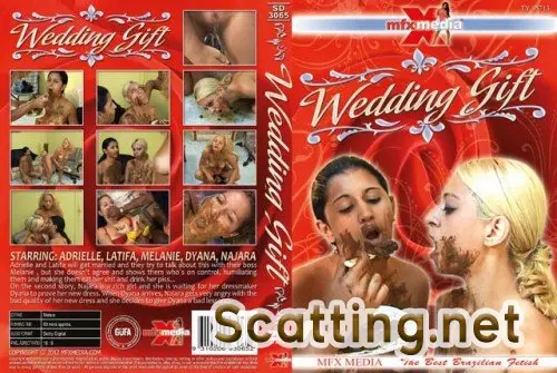 Adrielle, Latifa, Melanie, Dyana, Najara - MFX-3065 Wedding Gift (Domination, Brazil) MFX-Media [HDRip]