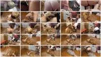 Mistress - Eat heaps of shit, you public toilet (Blowjob, Domination) Scatology [FullHD 1080p] Screenshot 1