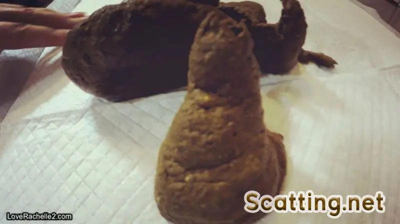 LoveRachelle2 - Turd Cutter Series. Shit & Showoff: Part 8 (Scatology, Solo) Panty Scat [FullHD 1080p]