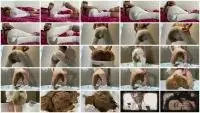thefartbabes - Massive Morning Bulge (Scatology, Solo) Defecation [FullHD 1080p] Screenshot 1