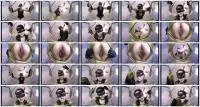 LoveRachelle2 - Gag On My Shit You Worthless Dog (Solo, Humiliation) Toilet Slavery [UltraHD 4K] Screenshot 1