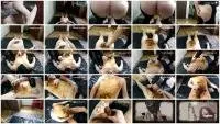 Mistress - All in shit, satisfied toilet bitch (Scat, Humiliation) Femdom [FullHD 1080p] Screenshot 1