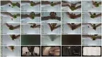 NaughtyPuma - Eat my cookie (Scat, Solo) Panty Scat [FullHD 1080p] Screenshot 1