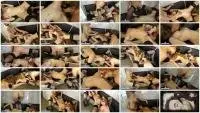 ModelNatalya94 - Dirty cunnilingus in the kitchen (Amateur, Lesbians) Shitting Ass [FullHD 1080p] Screenshot 1