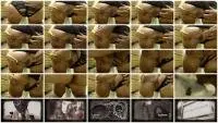 Sweettang - Dessert Anal (Solo, Shit) Scatting Girl [FullHD 1080p] Screenshot 1