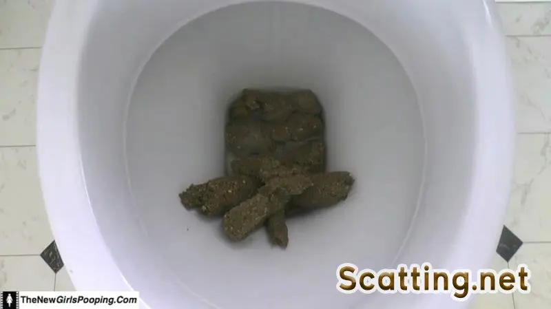 ShitGirl - Toilet Destroyed In 5 Mins (Scatology, Amateur) Solo [FullHD 1080p]