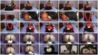 Solo - Teddy Bear My Toilet (Solo, Shit) Big Pile [FullHD 1080p] Screenshot 1