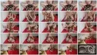[b][/b]Versauteschnukkis - Scat couple (Blowjob, Sex) Sex Scat [FullHD 1080p] Screenshot 1