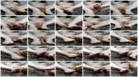 ToiletOfEden - Rewarding you with shit covered footjob (Masturbation, Toys) Footjobs [FullHD 1080p] Screenshot 1