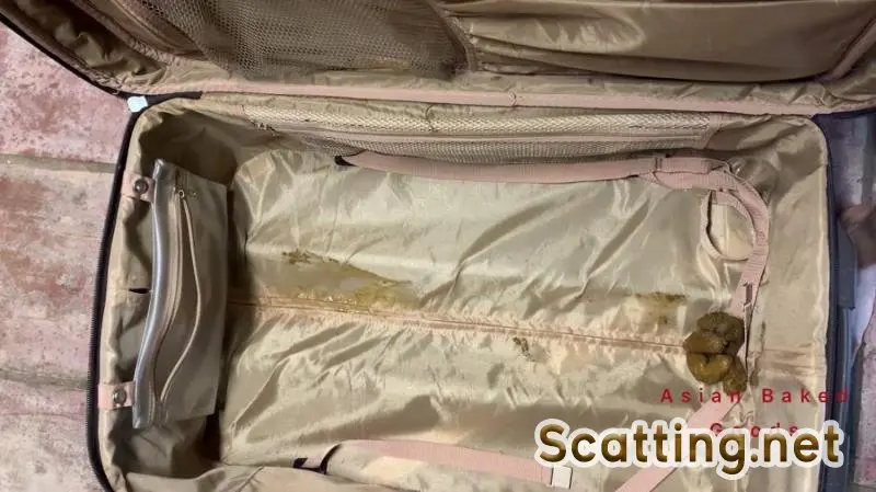 Marinayam19 - Shit in suitcase, dragged around town! (Solo, Poop) New scat [FullHD 1080p]