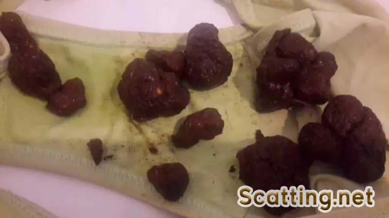 Thefartbabes - 12 Turds 4 Slave (Scatology, Solo) Panties [FullHD 1080p]