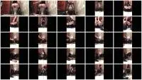 GoddessAndreea - Bubblebut scat feeding her human toilet 1 (Femdom) Female Domination [FullHD 1080p] Screenshot 1