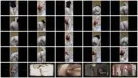 MissAnja - Chocolate Tower In Clear Glass (Defecation, Extreme) Solo [HD 720p] Screenshot 1