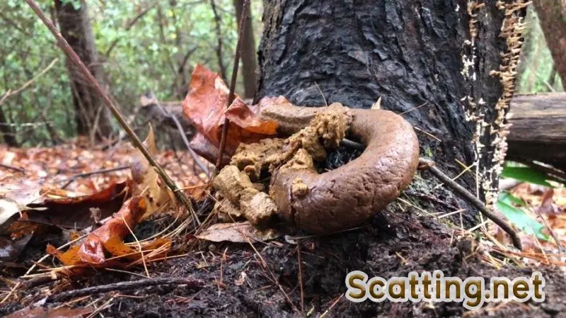 Goddesslucy - 4k Huge Snaky Shit Outdoors (Solo, Shit) Outdoor Scat [UltraHD 4K]