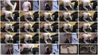 Natalia Kapretti - Fuck You Shitty Ass Faggot My Foot (Domination, Fisting) Femdom [FullHD 1080p] Screenshot 1