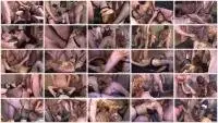 Julia, Sexy, Penelope, 5 males - THE SECRET CLUB (Fetish, Extreme, Group) Hightide-Video.com [HD 720p] Screenshot 1