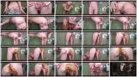 MissAnja - Runny Poo Down On My Leg (Toys, Dildo) Scatting [FullHD 1080p] Screenshot 1