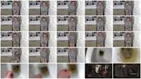 PooGirlSofia - Talking on the toilet whilst shitting (Extreme, Solo) Poop [FullHD 1080p] Screenshot 1
