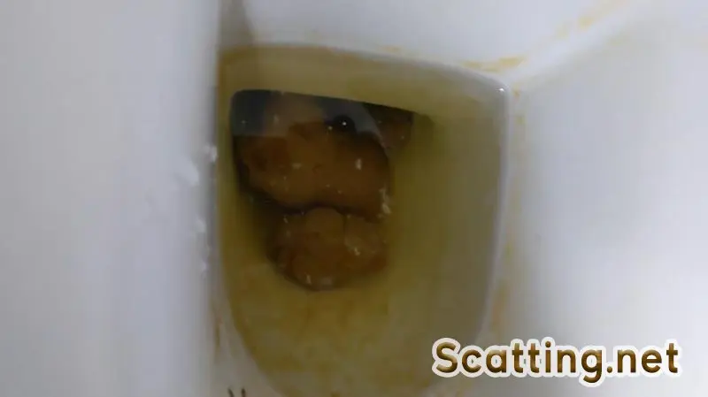 PooGirlSofia - Talking on the toilet whilst shitting (Extreme, Solo) Poop [FullHD 1080p]