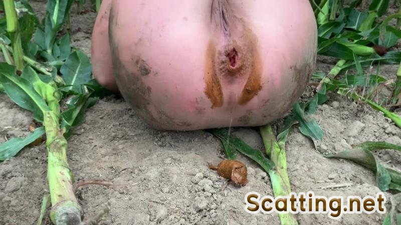 Devil Sophi - Extremely dirty with rubber boots in the field on the way (Solo, Shit) Big pile [FullHD 1080p]