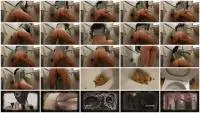 AinaraX - Big Load in the WC (Extreme, Solo) Poop [FullHD 1080p] Screenshot 1