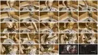p00girl - big pile of shit, dirty fisting, shit on face (Solo, Shit) Masturbation [FullHD 1080p] Screenshot 1