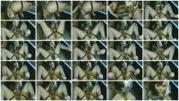 DirtyBetty - I WANT YOUR ASS (Trans, Solo) Shemale [UltraHD 4K] Screenshot 1