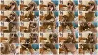 p00girl - I chew and smear shit, nausea (Solo, Eat) Scatshop.com [FullHD 1080p] Screenshot 1