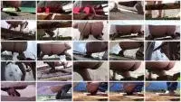 Solo - Primitive toilet shit (Hidden Camera, Voyeur) AllVoyeur.net [FullHD 1080p] Screenshot 1