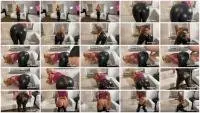 Devil Sophie - Diarrhea on the horny latex leggings - I shoot you my anal plug (Humiliation, Latex) Diarrhea [FullHD 1080p] Screenshot 1