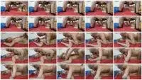 Versauteschnukkis - Scat fuck 27 (no male scat) (Sex Shit, Kaviar) Amateur Anal [HD 720p] Screenshot 1