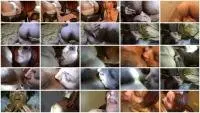 Kirascatt - Scat session (Amateur, Toilet) Domination [FullHD 1080p] Screenshot 1