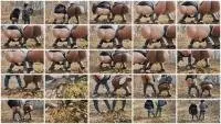 MiaRoxxx - Ebony and Ivory #2 (Shit, Scat, Poop) Outdoor Scat [UltraHD 4K] Screenshot 1