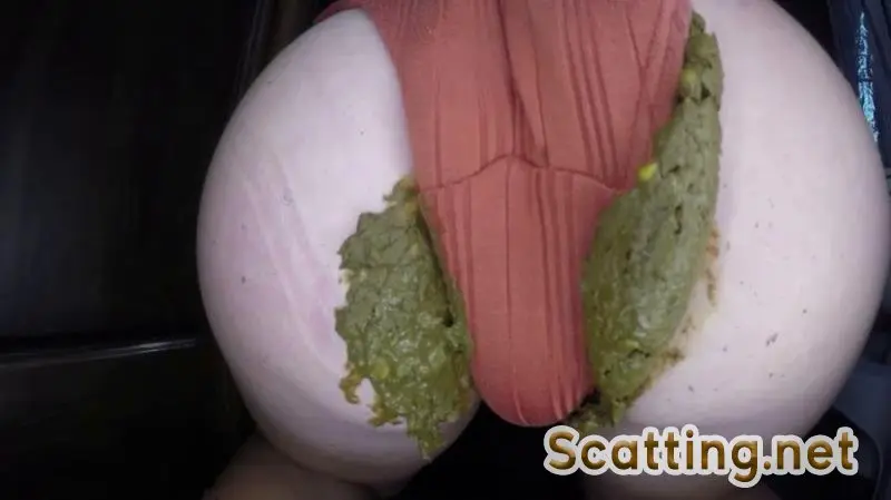 BetweenMyCheeks - Busting out of The Seams (Panty, Scat) Outdoor Scat [FullHD 1080p]