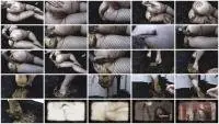 DirtyBetty - Scat Feet And Dirty Holes (Fisting, Pissing, Foot) Fetish [FullHD 1080p] Screenshot 1