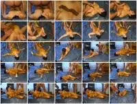 Conny - Threesome (Extreme, Amateur) Backdoor-SCAT.com [SD] Screenshot 1