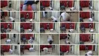 Lady Chantal - Pavianarsch Baboon Ass (Femdom, Germany) Scat-Movie-World.com [HD 720p] Screenshot 1