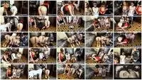 ModelNatalya94 - Three dogs and a lady Olga (Lesbians, Dirty Anal) Shitting Girls [FullHD 1080p] Screenshot 1