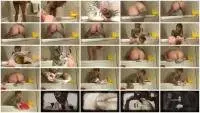 Defecation - Two Massive Loads for Slave (Big pile, Solo) Toilet Slavery [FullHD 1080p] Screenshot 1