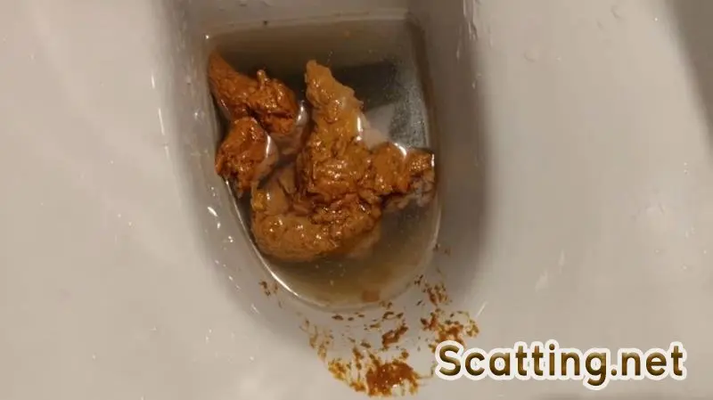 AinaraX - Big Load in the WC (Piss, Defecation) Solo [FullHD 1080p]