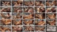 - Beauties Bloom Brown Blossoms (Domination, Lesbians) ArtOfScat [FullHD 1080p] Screenshot 1