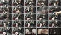 Miss Medea Mortelle, Mistress Gaia - Double Shit Eater (Group, Domination) Femdom [FullHD 1080p] Screenshot 1