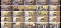 ScatGirl - Amateur teen taking a shit (Teen, Shit) Solo [SD] Screenshot 1