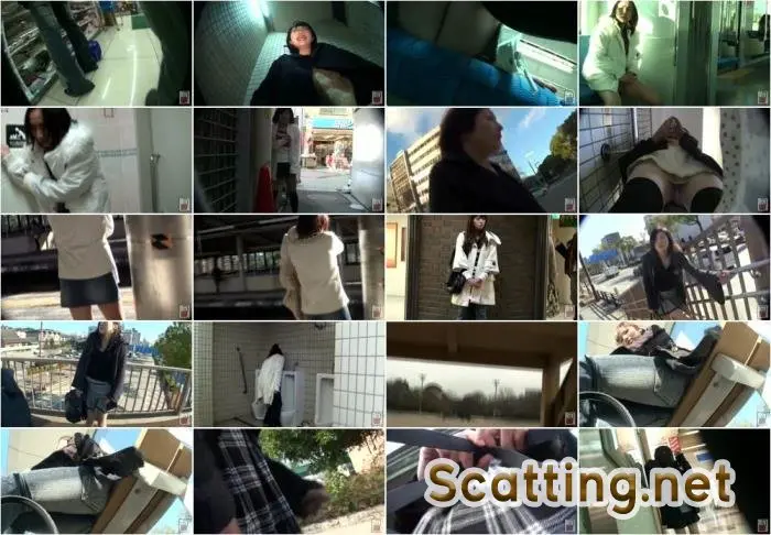 禁断投稿シリーズ　015　公共失禁　1 羞恥・調教 JG-135 [SD] Screenshot 1