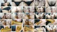 LOVE SCAT CATX - SCAT AND FLIP FLOPS (Solo, Eat) Toy Play [FullHD 1080p] Screenshot 1