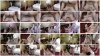 Lady Kimi, Lady Domi - Domi and Kimi scat and vomit humilation - Kimi only (Domination, Eat shit, Smearing) brown.peeng-ladies.com [FullHD 1080p] Screenshot 1