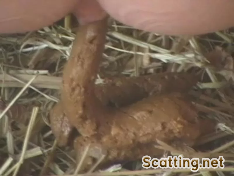 Solo - Woman shitting in a barn on a farm (Shit, Poop) NaturalScatGirls [SD]
