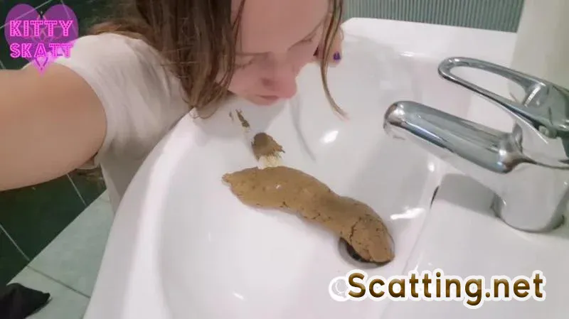 Solo - Desperate Sink Log in Hotel (Defecation, Amateur) Big Pile [HD 720p]