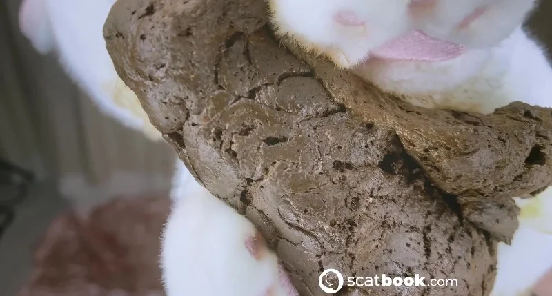 SweetBettyParlour - Tea Party and the Sweets ( Scatbook [FullHD 1080p]
